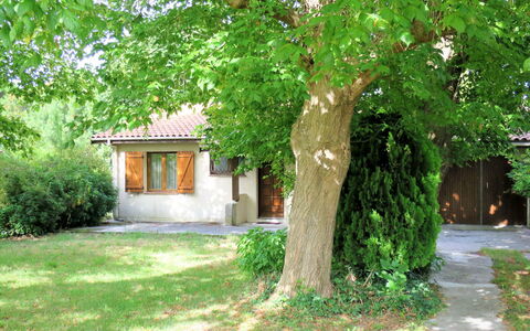La Rose des Sables: Plant, Building, Branch, Tree, Window, Shade, Natural Landscape, Land Lot, Trunk, Landscape