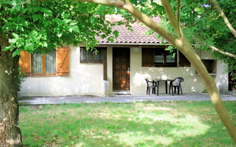 La Rose des Sables: Plant, Building, Property, Window, Nature, Tree, Shade, House, Land Lot, Cottage