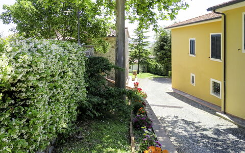 Pastina 649: Property, Green, House, Yellow, Real Estate, Vegetation, Residential Area, Home, Tree, Building