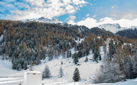 Siviez-Nendaz 649: Snow, Mountainous Landforms, Winter, Mountain, Tree, Mountain Range, Terrain, Highland, Hill Station, Glacial Landform