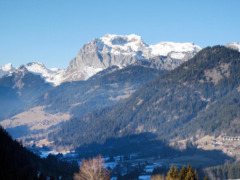 Châtel 651