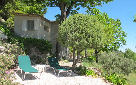 Le Cabanon: Vegetation, Shrub, Spring, Cottage, Garden, Shade, Backyard, Yard, Chair