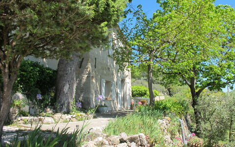 Le Cabanon: Vegetation, Shrub, Spring, Cottage, Garden, Shade, Backyard, Yard, Chair