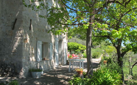 Le Cabanon: Vegetation, Shrub, Spring, Cottage, Garden, Shade, Backyard, Yard, Chair