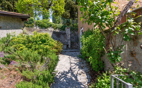 Meri (Vna225): Plant, Road Surface, Vegetation, Building, Neighbourhood, Biome, Woody Plant, Natural Landscape, House, Tree