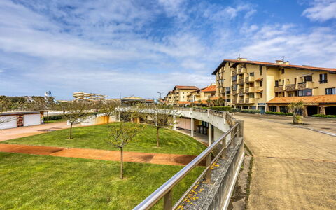 Trinquart: Cloud, Sky, Building, Plant, Window, Land Lot, Urban Design, Grass, Residential Area, Landscape