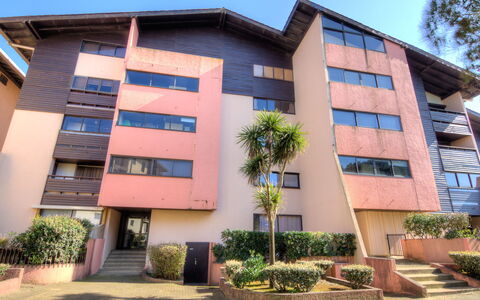 Douc: Plant, Sky, Building, Window, Urban Design, Tree, Condominium, Neighbourhood, Residential Area, Facade