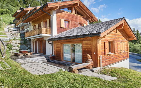 Thyon-Les Collons 628: Plant, Sky, Building, Cloud, Property, Window, Wood, Tree, House, Land Lot