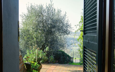 Torre di Meo: Plant, Property, Sky, Shade, Vegetation, Sunlight, Grass, Wall, Rectangle, Real Estate