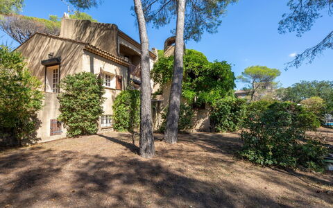 Alsabreizh: Plant, Sky, Building, Tree, Land Lot, Window, Cottage, Landscape, Grass, Arecales