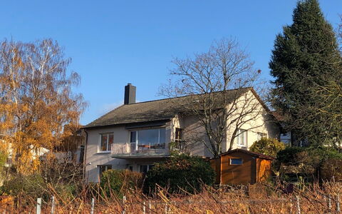 Am Weinberg: Plant, Sky, Building, Property, Window, Natural Landscape, Tree, Branch, House, Twig