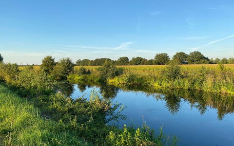 Am Park: Sky, Blue, Water Resources, Water, Green, Body Of Water, Natural Landscape, Nature, Natural Environment, Grass