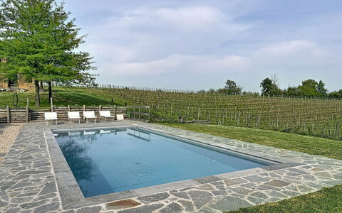 Villa Remotti: Swimming Pool, Composite Material, Flagstone, Garden, Water Feature, Landscaping, Shade, Resort, Backyard, Outdoor Furniture