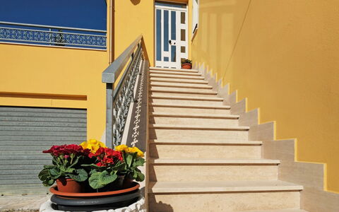 Erika: Plant, Flower, Building, Property, Stairs, Wood, Window, Orange, Door