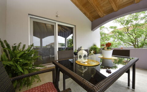 Stipe: Table, Furniture, Plant, Property, Building, Flowerpot, Houseplant, Wood, Lighting, Shade