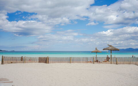 Los Girasoles: Beach, Sky, Sea, Blue, Ocean, Vacation, Shore, Sand, Horizon, Coast
