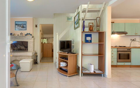 Lavanda: Cabinetry, Houseplant, Shelf, Shelving, Interior Design, Home Appliance, Drawer, Wood, Kitchen, Floor