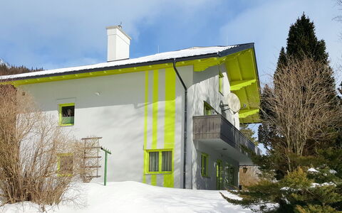 Viola: Cloud, Plant, Sky, Building, Property, Window, Tree, House, Slope, Snow