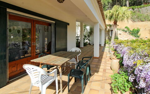 Catalonia: Plant, Property, Furniture, Building, Table, Chair, Flowerpot, Tree, Wood, Architecture