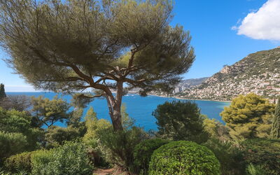 Roquebrune Cap Martin 601
