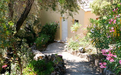 Accommodation:&nbsp;Camelia- Marjolène 601.3