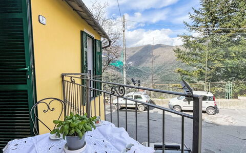 Valloria 602: Door, Iron, Balcony, Metal, Flowerpot, Houseplant, Fence, Porch, Chair, Handrail