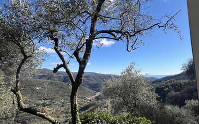 Il Mulino (Vlo207)