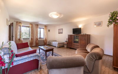 Il Castelliere 601.1: Furniture, Property, Picture Frame, Plant, Building, Houseplant, Wood, Living Room, Interior Design, Comfort