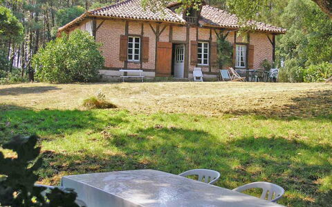 Hollebarde: Plant, Building, Property, Window, Tree, Botany, Nature, House, Grass, Vegetation