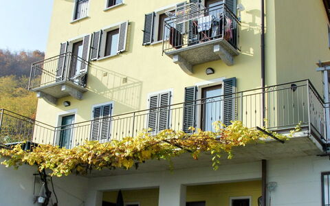 Casa Bel Sit: Flower, Plant, Sky, Building, Window, Property, Botany, Green, House, Yellow