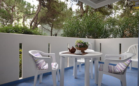 Lignano Sabbiadoro 643: Table, Furniture, Property, Plant, Building, Chair, Interior Design, Shade, Tree, Wood