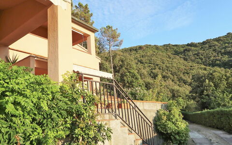 Nisportino 601: Property, Vegetation, House, Residential Area, Real Estate, Building, Home, Architecture, Botany, Tree