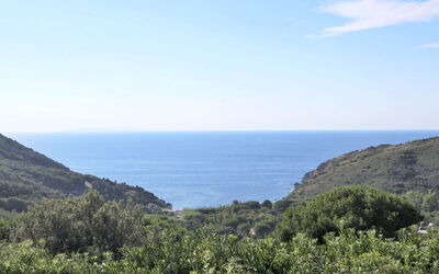 Nisportino 601