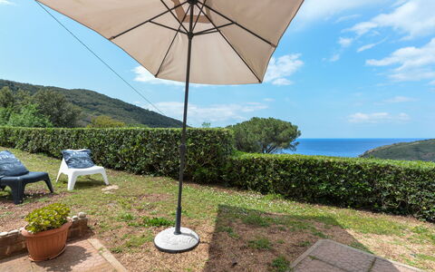 La Paradisa: Plant, Sky, Cloud, Nature, Shade, Umbrella, Flowerpot, Outdoor Furniture, Tree, Tent