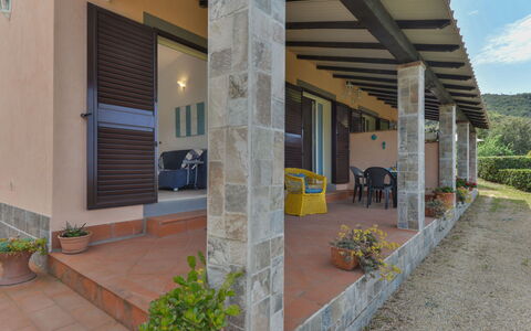 La Paradisa: Plant, Property, Building, Flowerpot, Shade, Houseplant, Architecture, Road Surface, Wood, Flower