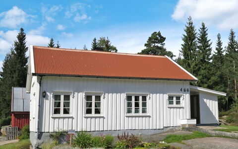 Øygårdsheia: Plant, Cloud, Sky, Window, Property, Tree, Building, House, Land Lot, Wood
