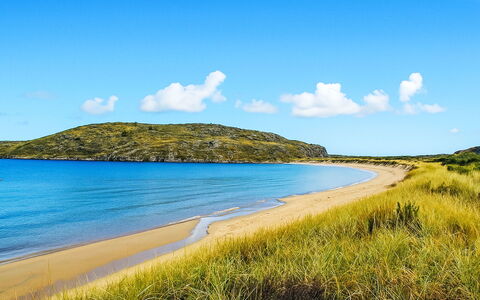 Nedregård: Blue, Water, Body Of Water, Horizon, Coast, Beach, Coastal And Oceanic Landforms, Summer, Sea, Shore
