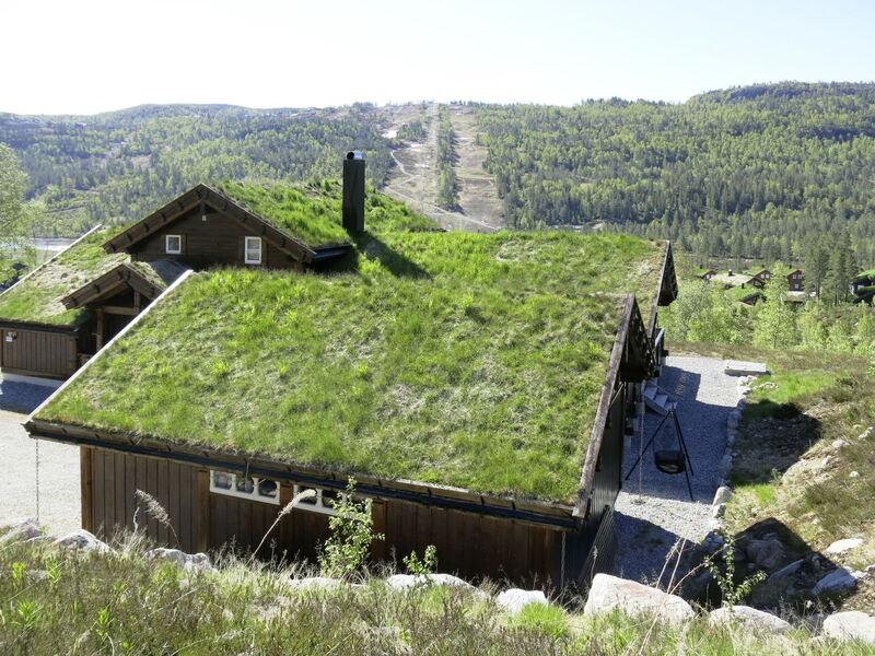 Solknatten (Set038)