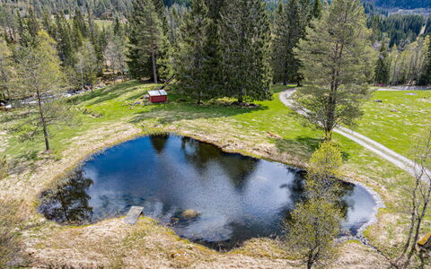 Fjellro: Tree, Natural Landscape, Landscape, Tarn, Bank, Wilderness, Forest, Pond, Reflection, Larch