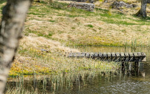 Fjellro: Water, Natural Environment, Natural Landscape, Marsh, Bank, Watercourse, Plant Community