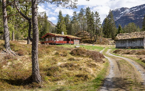 Fjellbris: Grass, Tree, Mountainous Landforms, Mountain, Natural Landscape, House, Highland, Landscape, Cottage
