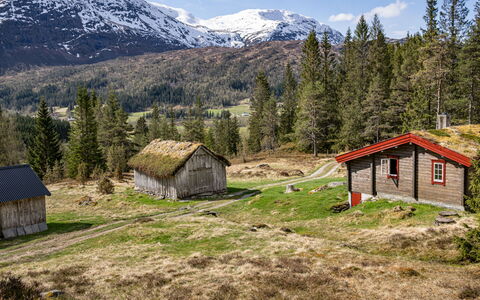 Fjellbris: Mountainous Landforms, Grass, Mountain, Hill, Natural Landscape, Grassland, Highland, House, Landscape