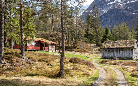 Fjellbris: Grass, Mountainous Landforms, Mountain, Natural Landscape, House, Highland, Hill, Cottage, Landscape