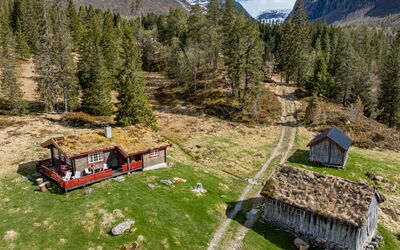 Fjellbris