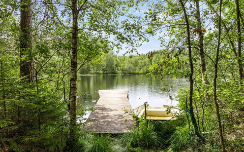 Hökagården: Water, Plant, Plant Community, Natural Landscape, Tree, Wood, Watercourse, Trunk