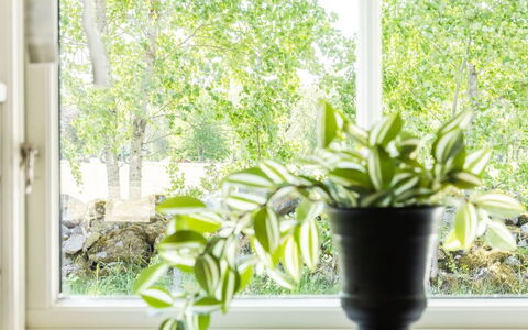 Skärvudde Huset: Plant, Property, Window, Flowerpot, Light, Green, Houseplant, Wood, Interior Design