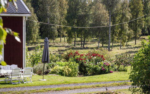 Långban: Plant, Plant Community, Natural Landscape, Flower, Tree, Land Lot, Grass, Leisure, Woody Plant, Groundcover