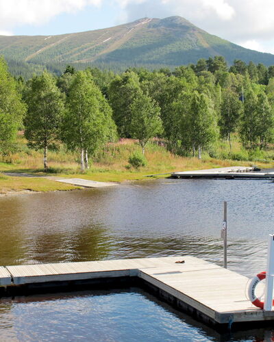 Lofsdalen Fjällbjörken