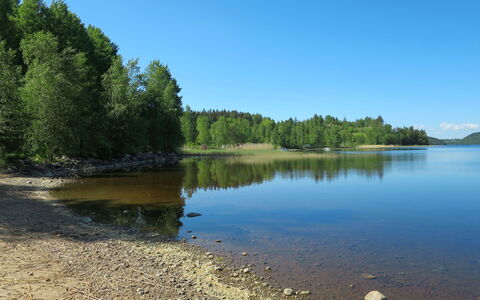 Måbäcken: Water, Sky, Natural Landscape, Plant, Lake, Tree, Watercourse, Bank