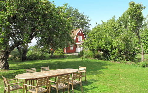 Ilandet: Plant, Table, Sky, Outdoor Bench, Leaf, Nature, Natural Landscape, Tree, Picnic Table, Vegetation